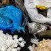 Operação Hidra de Lerna: Polícia Civil prende oito e apreende drogas em Jacarezinho