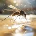 Jacarezinho reforça alerta para prevenção contra a dengue durante período chuvoso