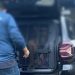 Polícia Civil cumpre mandado de recaptura contra homem condenado a 23 anos por furtos e roubos em Cambará