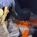 PRF apreende mais de 249 kg de drogas escondidos em carga de encomendas na BR-277 “Assista o vídeo”
