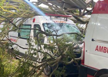 Chuva forte derruba árvores e atinge ambulâncias na base do SAMU em Jacarezinho-PR “Assista o vídeo”
