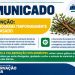 Chuvas atrasam cronograma de coleta de galhos e entulhos em Jacarezinho-PR