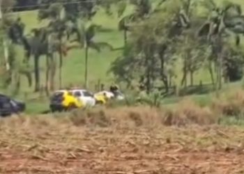 Paraná: após fuga de 20 quilômetros, homem armado se esconde em mata e se rende à polícia