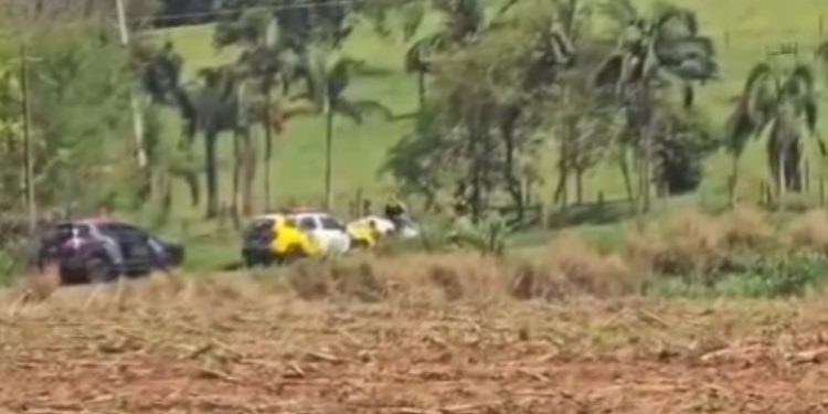 Paraná: após fuga de 20 quilômetros, homem armado se esconde em mata e se rende à polícia “Asssita o vídeo”