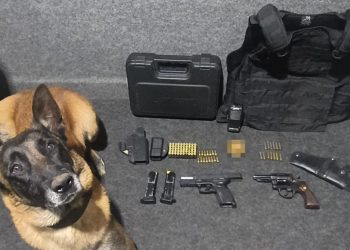 Polícia Militar apreende apreende armas de Fogo e munições em Jacarezinho-PR