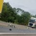 Acidente entre van da ProTork e caminhão de frangos deixa motorista ferido na PR-092