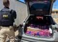 Paraná: Pais são detidos pela PRF transportando 362 quilos de maconha com filho de 2 anos