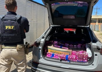 Paraná: Pais são detidos pela PRF transportando 362 quilos de maconha com filho de 2 anos
