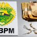 Polícia Militar realiza prisão por tráfico de drogas e cumprimento de mandado de prisão em Jacarezinho-PR