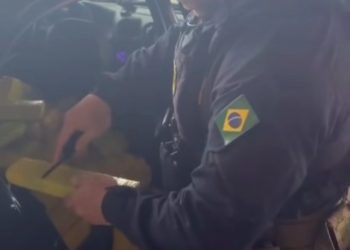 Paraná: PRF e DENARC apreendem grande carregamento de maconha após fuga na BR-277 “Assista o vídeo”