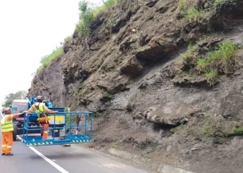 EPR Litoral Pioneiro inicia operações preventivas de estabilização de encostas na PR-239, PR-092 e BR-277