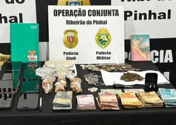 Norte Pioneiro: Polícia Militar e Civil desmantelam ponto de tráfico de drogas em Ribeirão do Pinhal