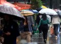 Domingo de eleição será chuvoso no Paraná e em boa parte do Brasil; veja mais detalhes