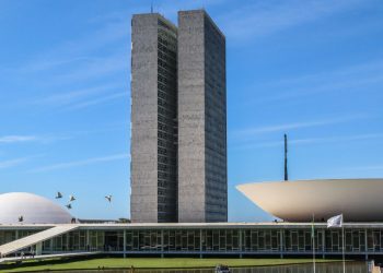 Eleições 2026: conheça os deputados federais eleitos pelo Paraná