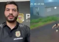 Polícia Civil prende suspeito de agredir brutalmente namorada em Joaquim Távora
