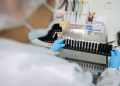 Brasil pode ter primeira vacina nacional contra a malária