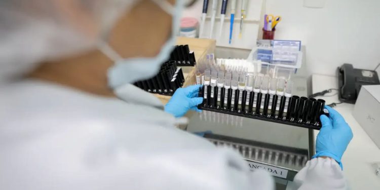 Brasil pode ter primeira vacina nacional contra a malária
